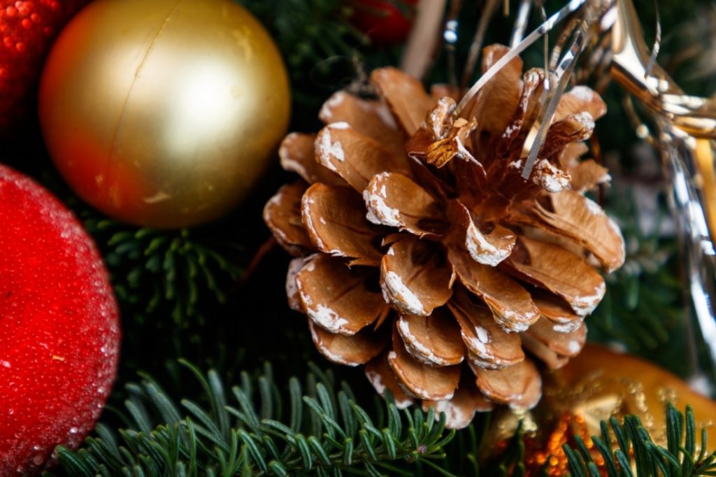 Kerstboom met kluit laten acclimatiseren Bloggeninside