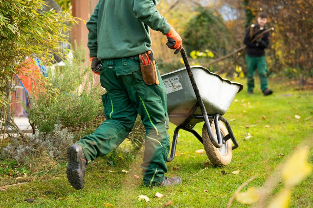 Tuinonderhoud in 5 stappen voor een verzorgde tuin